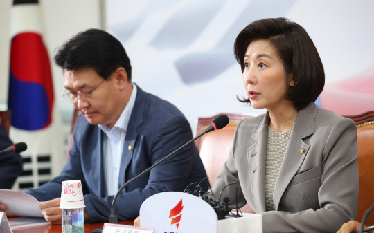 나경원 자유한국당 원내대표가 26일 여의도 국회에서 열린 원내대표 및 중진의원 연석회의에서 발언하고 있다. 연합뉴스